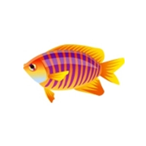 Striped Gourami